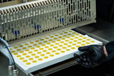 A filled mold of Sunnies gummies